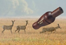 Helen Baud Serie APO Chiamata