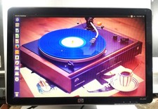 HP W1907 LCD Monitor Built In