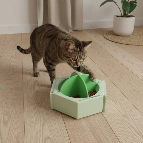 Gioco enigma gatto esagonale - enigma,