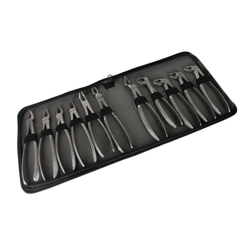 Dente dentale estrazione - dente,