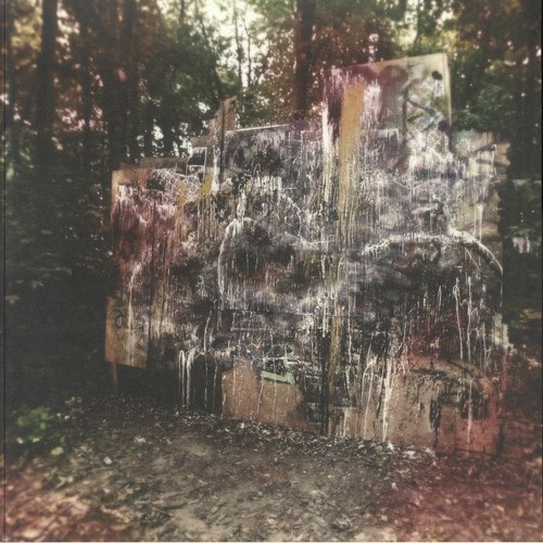 Dispute wildlife - dispute,