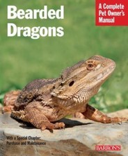 Bearded Dragons by Au, Manfred