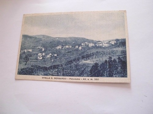 Savona stella bernardo - savona,