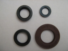 Fantic Motor Serie paraoli per