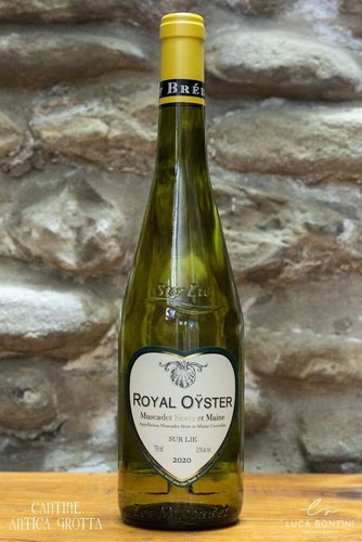 Royal oyster 2022 - royal,