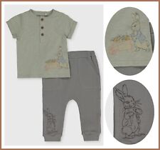 Peter Rabbit Baby Kitton