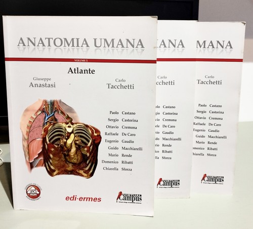 Atlante anatomia umana - di,