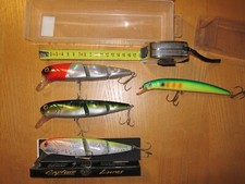 Esche artificiali spinning mare