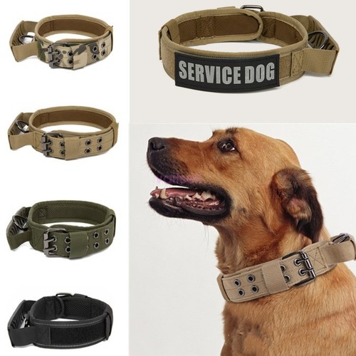 Collare cane militare tattico