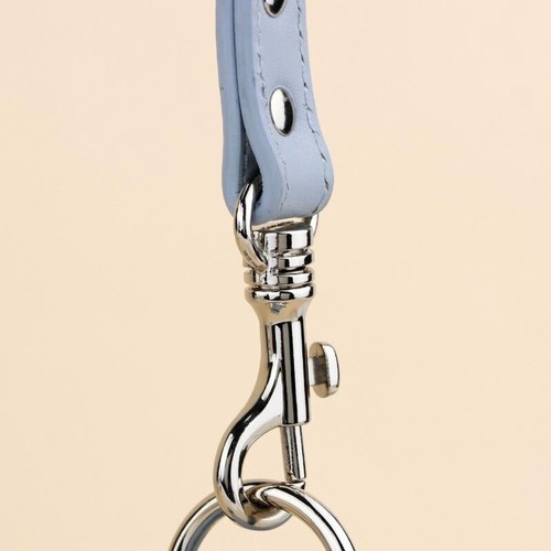 2cm pelle guinzaglio - ft,