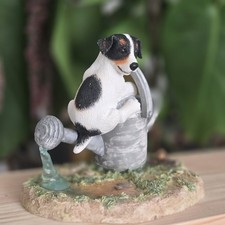 Border Fine Arts Studio Puppy