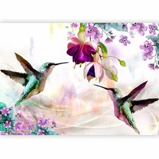 Fiori uccello colibri - fiori, da