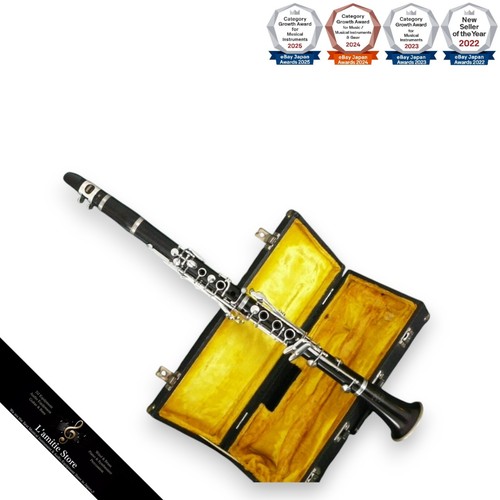 Strumento musicale melody - strumento,