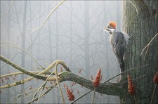 FRASE ORIGINAL PAINTING