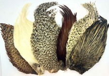 Piuma del Collo del Gallo per