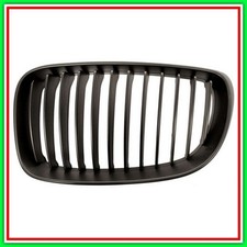 Griglia radiatore sinistra - radiatore,