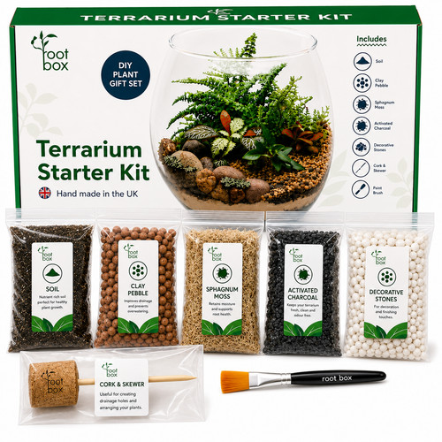 Kit terrario rootbox - terrario, rootbox™