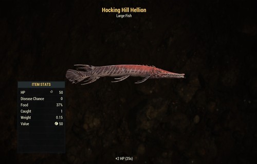 Pesce con molle ardenti - (xbox),