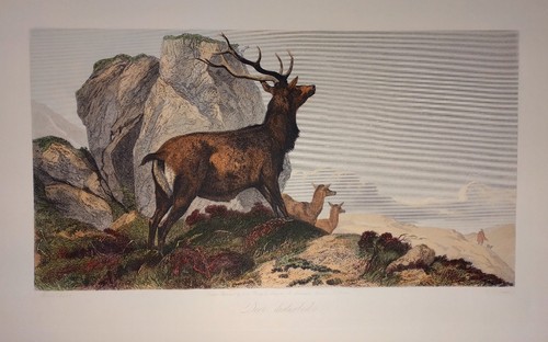 Stampa incisione calcografia