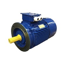 Motore elettrico Trifase 15 kW