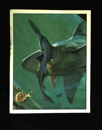 Animali preistorici - animali, (1974)