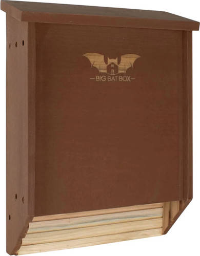 Bigbatbox wooden large bat - bigbatbox,