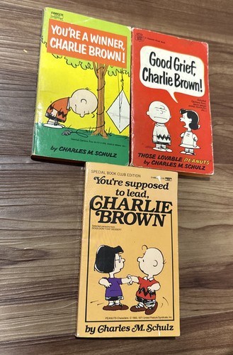 Vintage peanuts charlie - peanuts,
