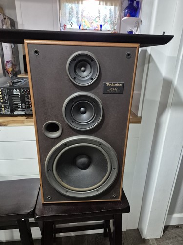 Technics altoparlante vie - altoparlante, 3
