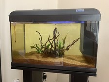Acquario completo 60l come nuovo