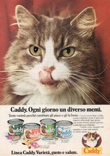 1970 Vintage Cat Food Caddy