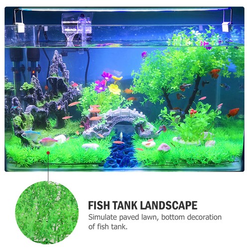 Pezzi piante acquatiche - pezzi,