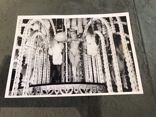 Les folies bergère photo - bergÈre,