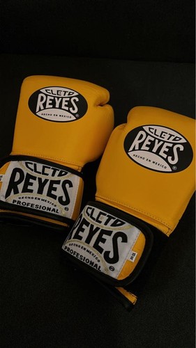 Guantoni boxe cleto - da,