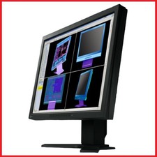 Eizo FlexScan L985EX Monitor