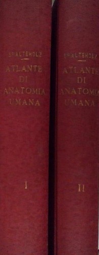Spaltehole atlante anatomia - spaltehole,