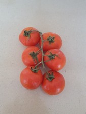 TOMATE de COLGAR  HANG TOMATO