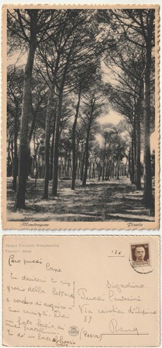 Mondragone caserta pineta - caserta,