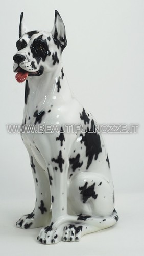 Cane alano arlecchino seduto - cane,