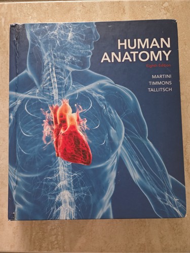 Human anatomy - anatomy,