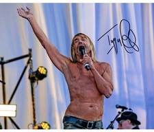 Iggy Pop Original 10x8