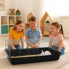 🐰 ZooPaul 🐰 Gabbia per