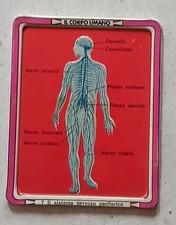 Placca metallo IL CORPO UMANO