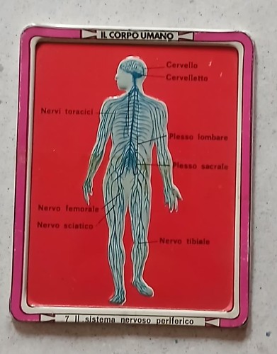 Placca metallo corpo - placca,