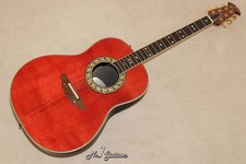Chitarra acustica-elettrica