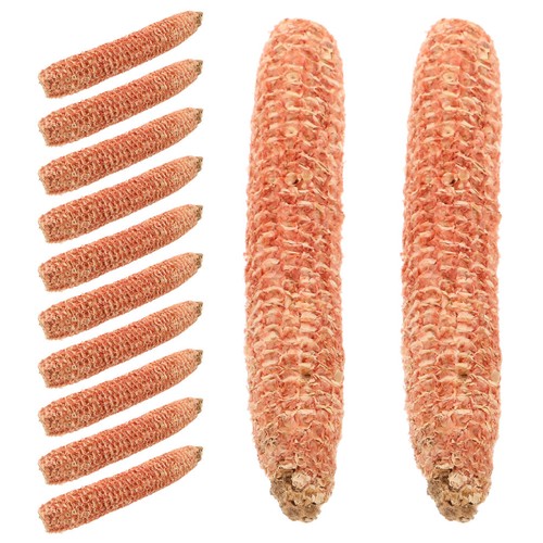Pezzi corn cob - pezzi,