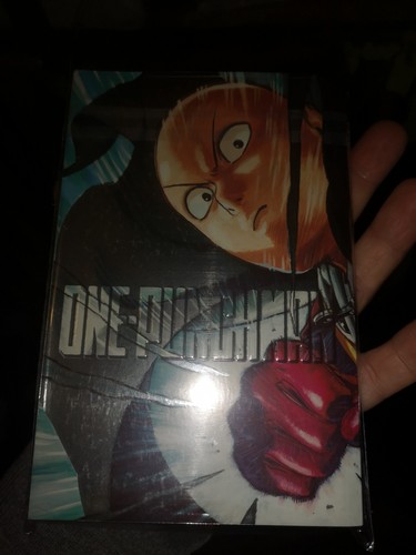 One punch man - one,