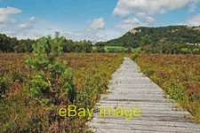 Photo 6x4 Boardwalk on Bellart