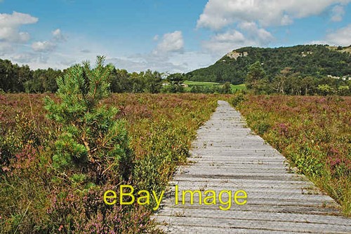 Photo 6x4 boardwalk bellart - 6x4,