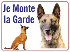 Attention au chien, Je monte