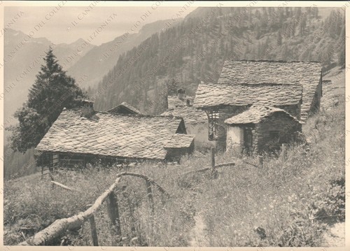 1953 gressoney trinitè - 1953,